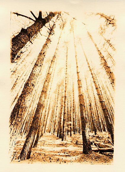 My First Lith Print