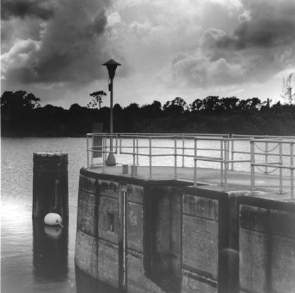 my first roll of film 1 of 2