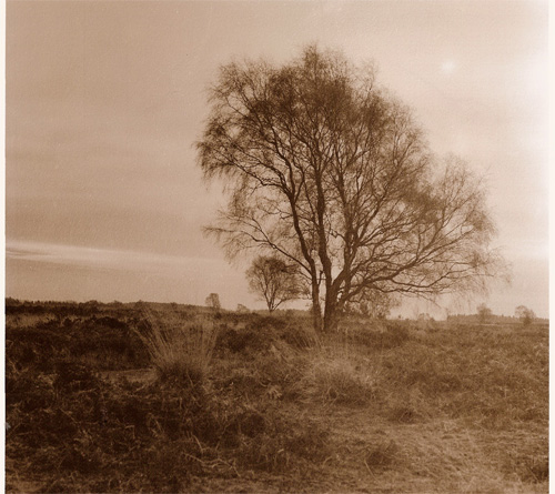 My first sepia prints