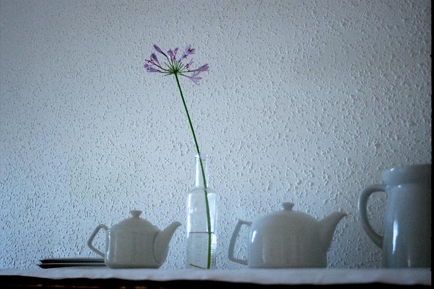 My Kitchen