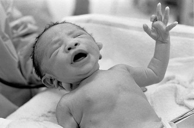 My newest photographic subject