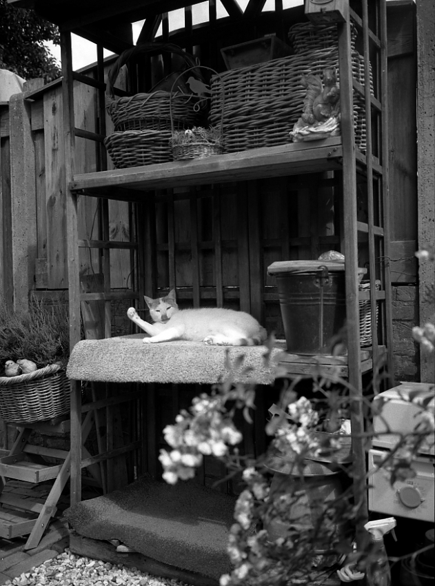 "My Own World". Monthly Shooting Assignment jul/aug 2016