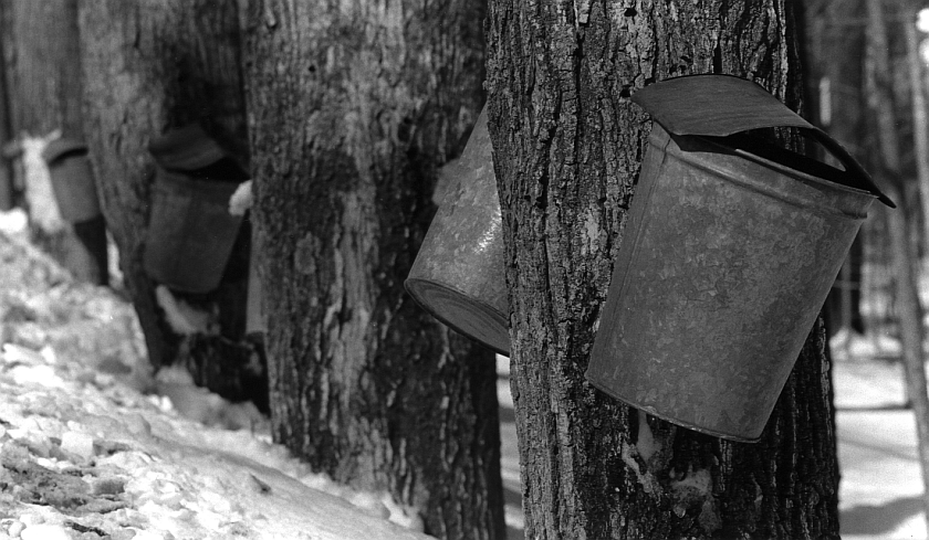 My take on Jon's maple buckets