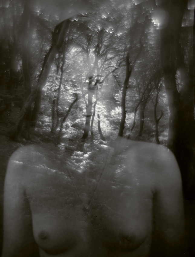 mystery woods....