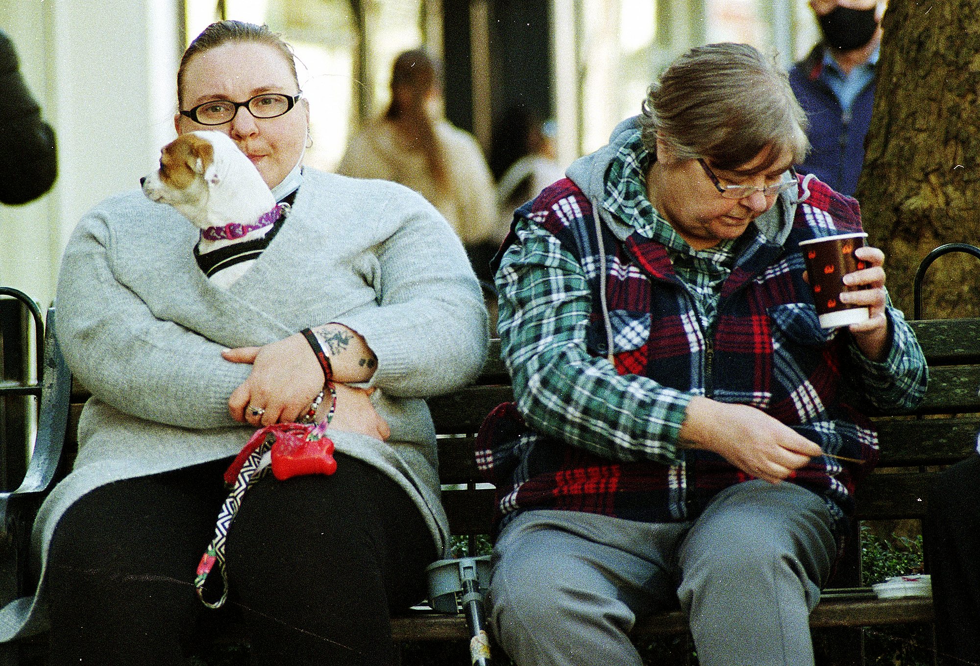 MZ-5 Fuji 200