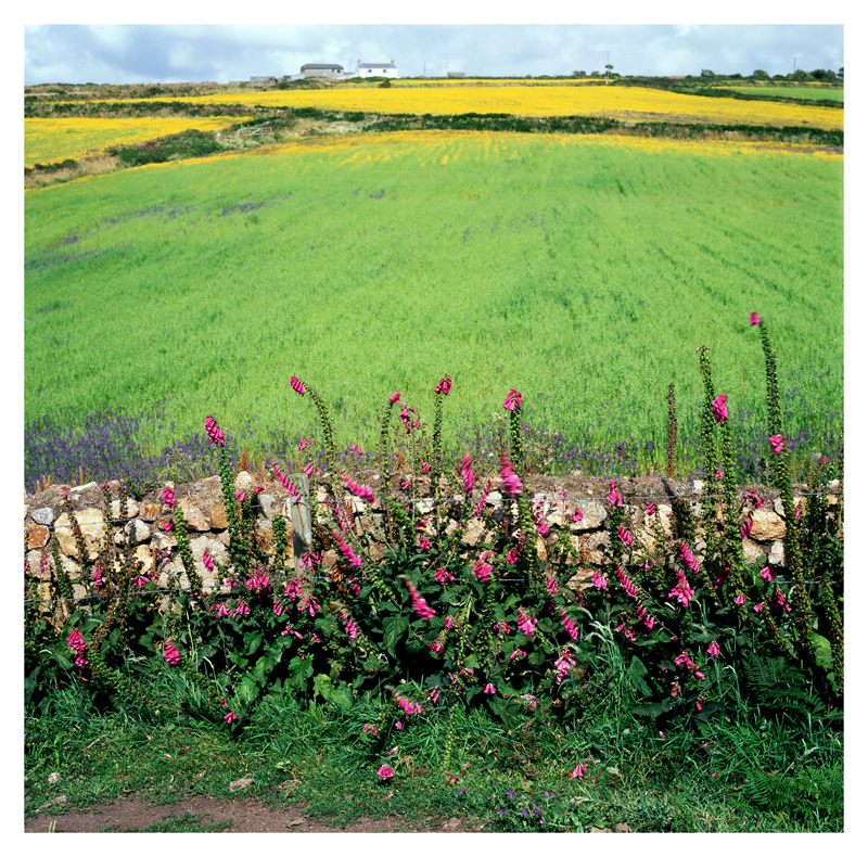 Nanquidno, Cornwall, England.