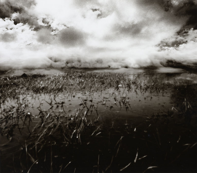 Nanuet 2008