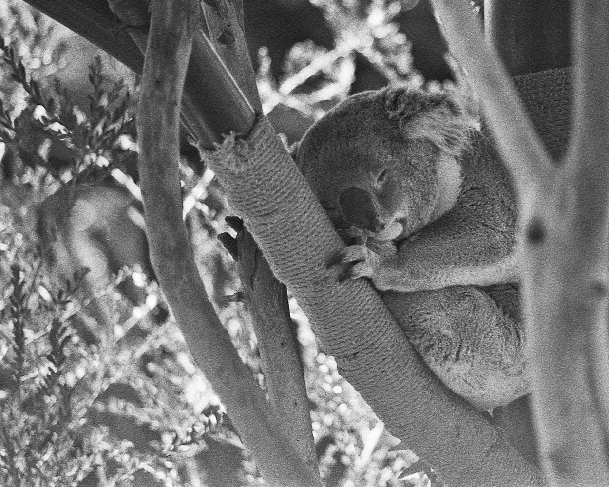 Naptime, comments welcome.