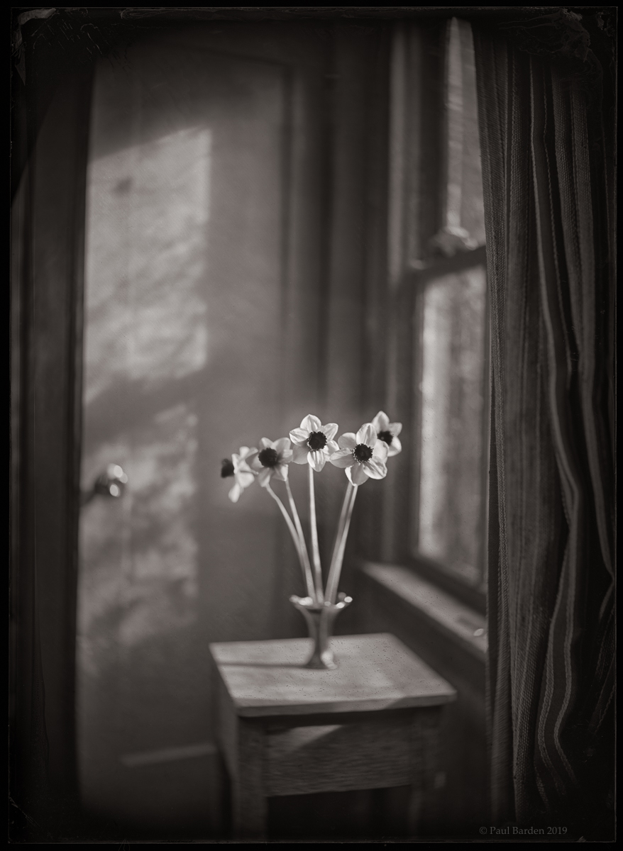 Narcissus #2: Genius Loci