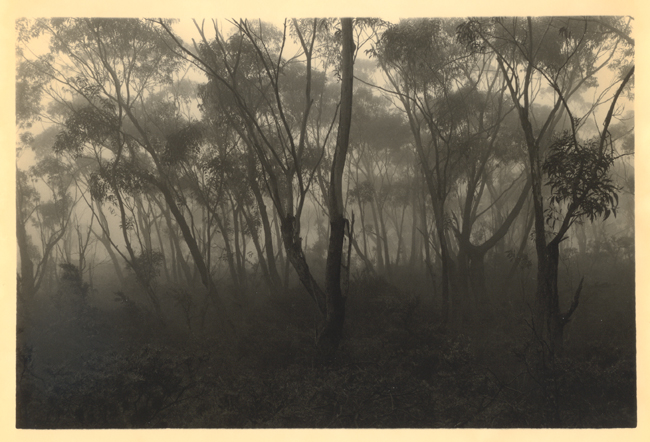 Narrow-neck Mist