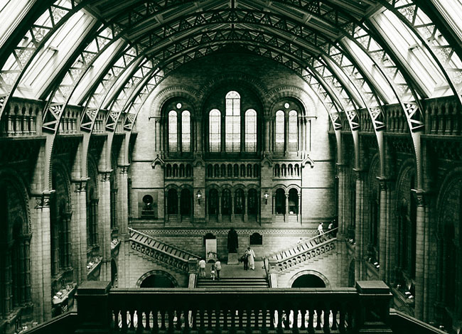 Natural History Museum