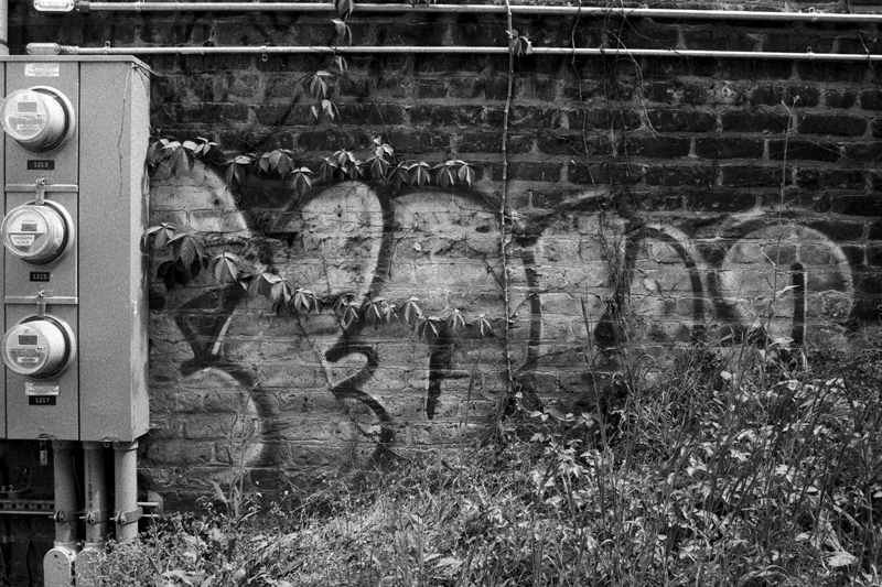 Nature's Graffiti