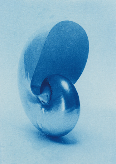 Nautilus