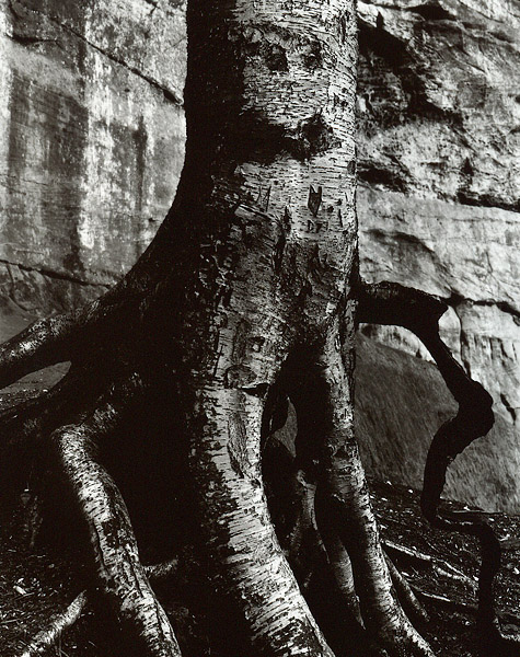 NE/OH Gathering -Roots and Ledges