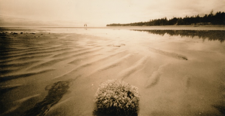 Near and Far, MSA; Miracle Beach, Low Tide