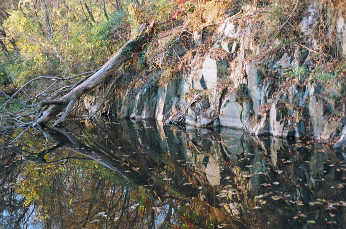 Near And Of The C&o Canal, 15 Nov 09
