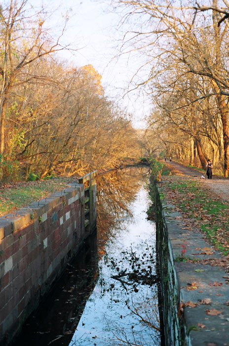 Near And Of The C&o Canal, 15 Nov 09