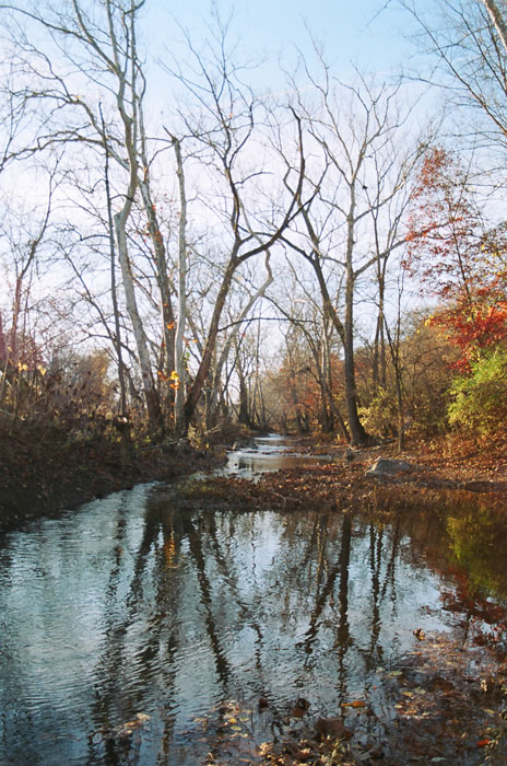 Near And Of The C&o Canal, 15 Nov 09