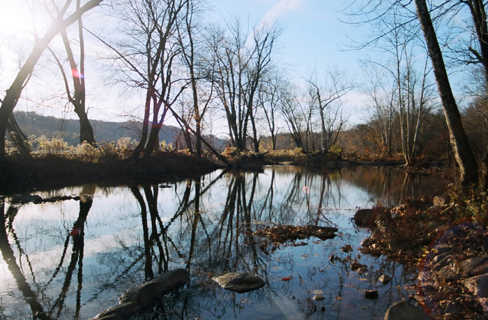 Near And Of The C&o Canal, 15 Nov 09
