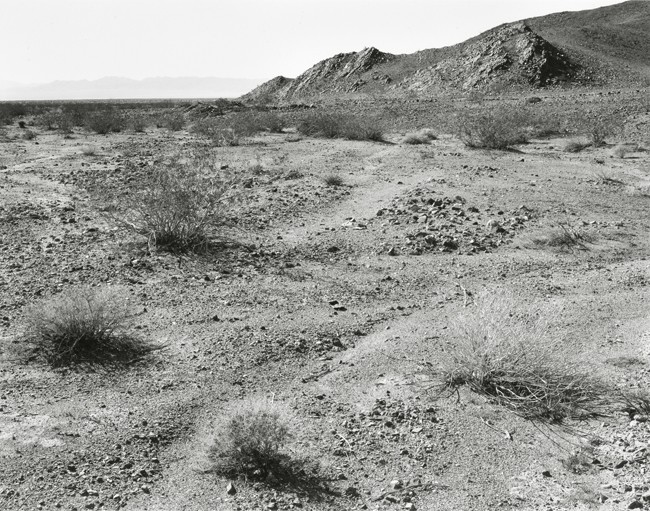 Near Cadiz, California, 2008
