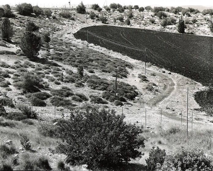 Near Gan Ner, 2008