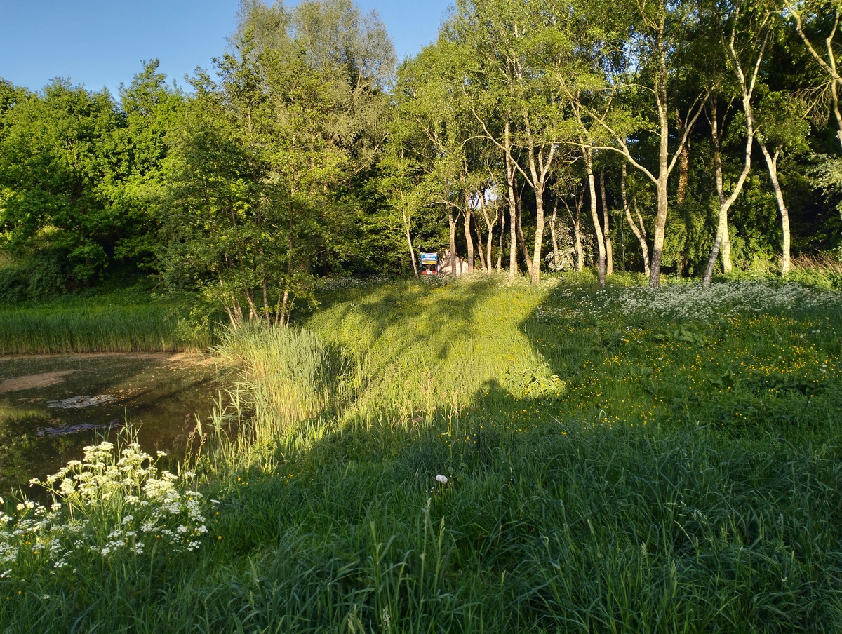 Near my home (2)