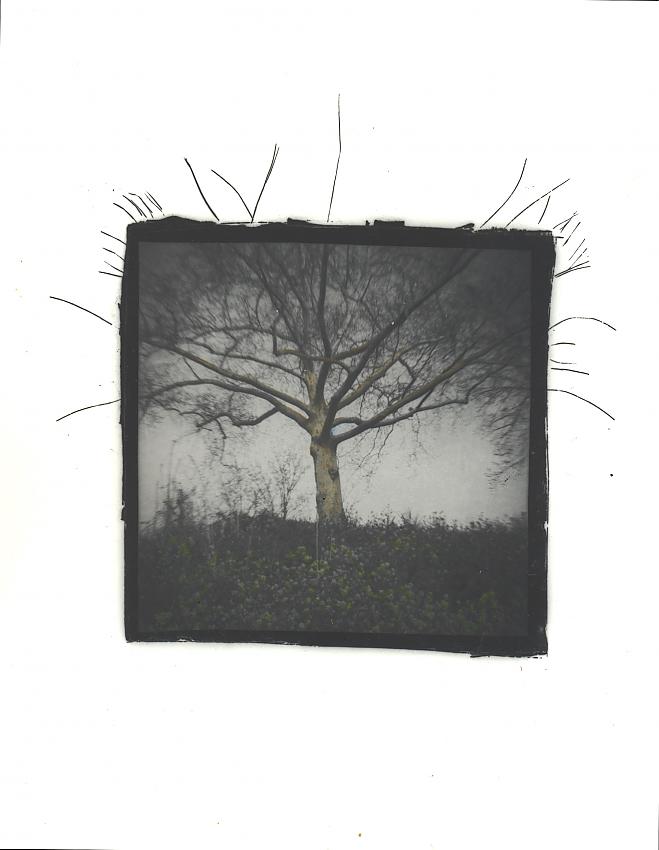 Negative construction/destruction