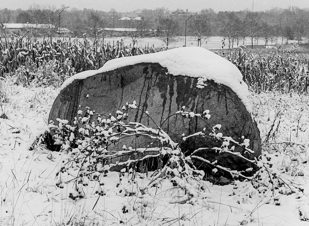 Neighborhood Rock
