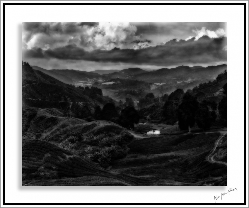 Neil's-Photography048