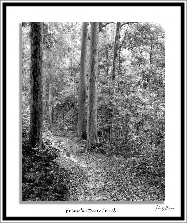 Neil's-Photography170