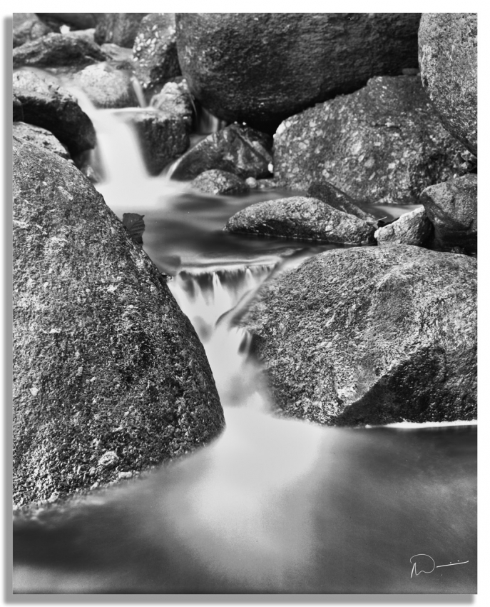 Neil's-Photography186