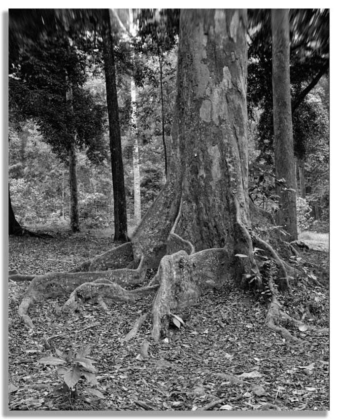 Neil's-Photography187