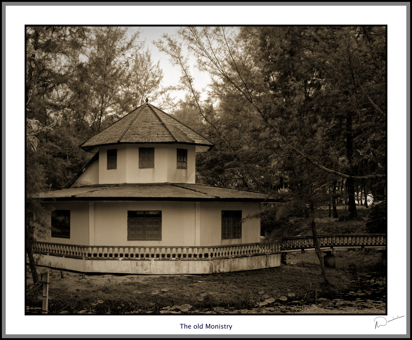 Neil's-Photography3013