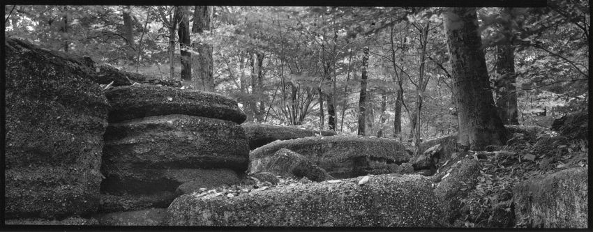 Nelson Ledges Ohio