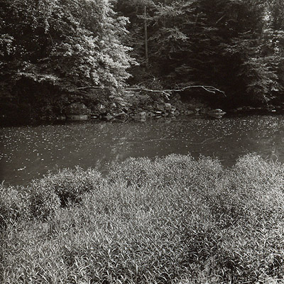 Neshannock Creek #4