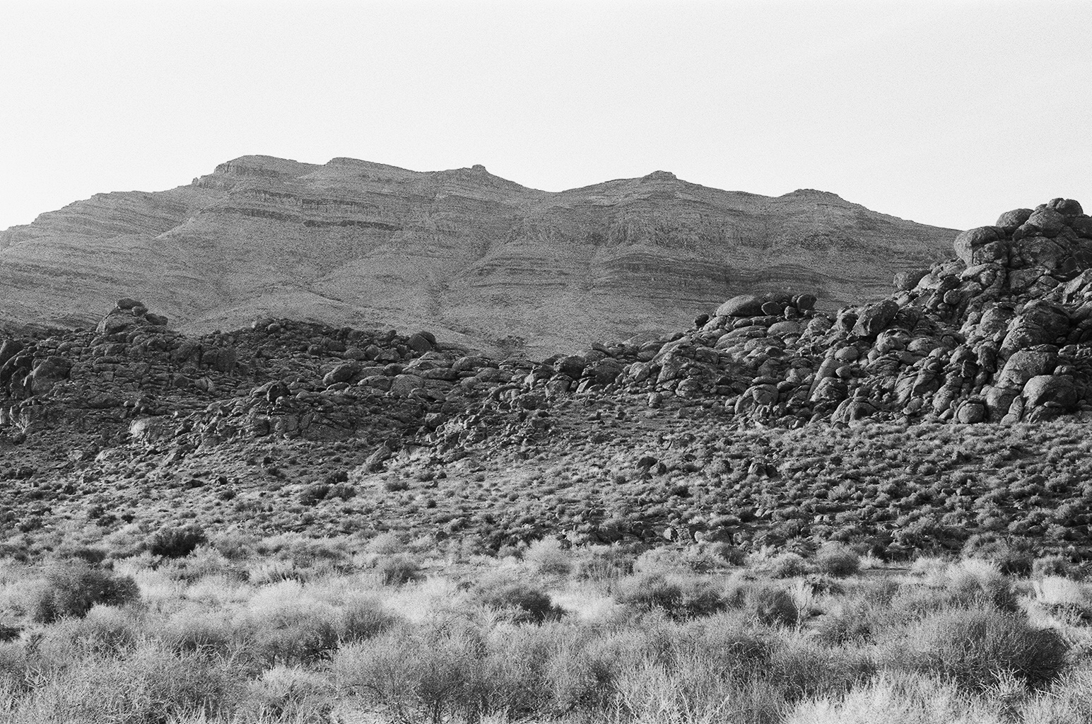 Nevada