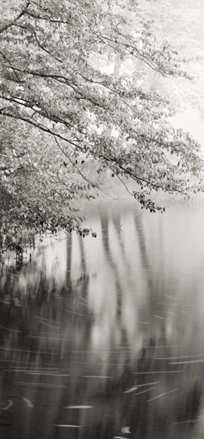 Neversink River