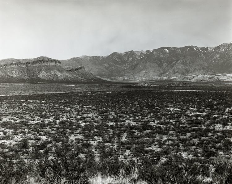 New Mexico Landscape