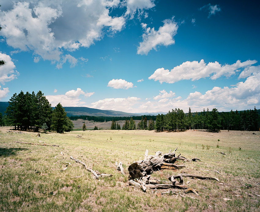 New Mexico