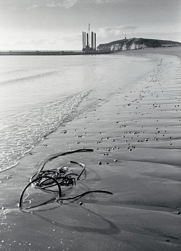 Newhaven Beach , Sussex