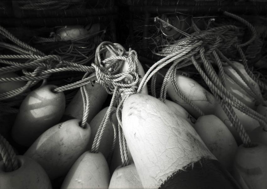 Newport Harbor (pinhole)