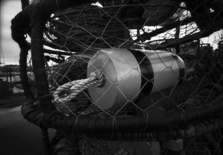 Newport Harbor (pinhole)