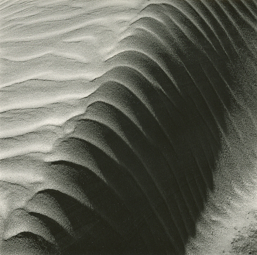 Newport wind patterns