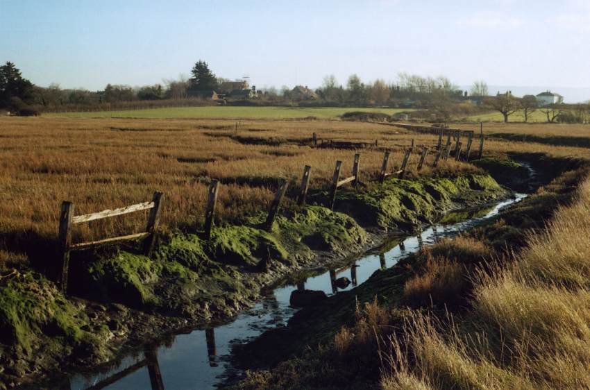 Newtown Marsh