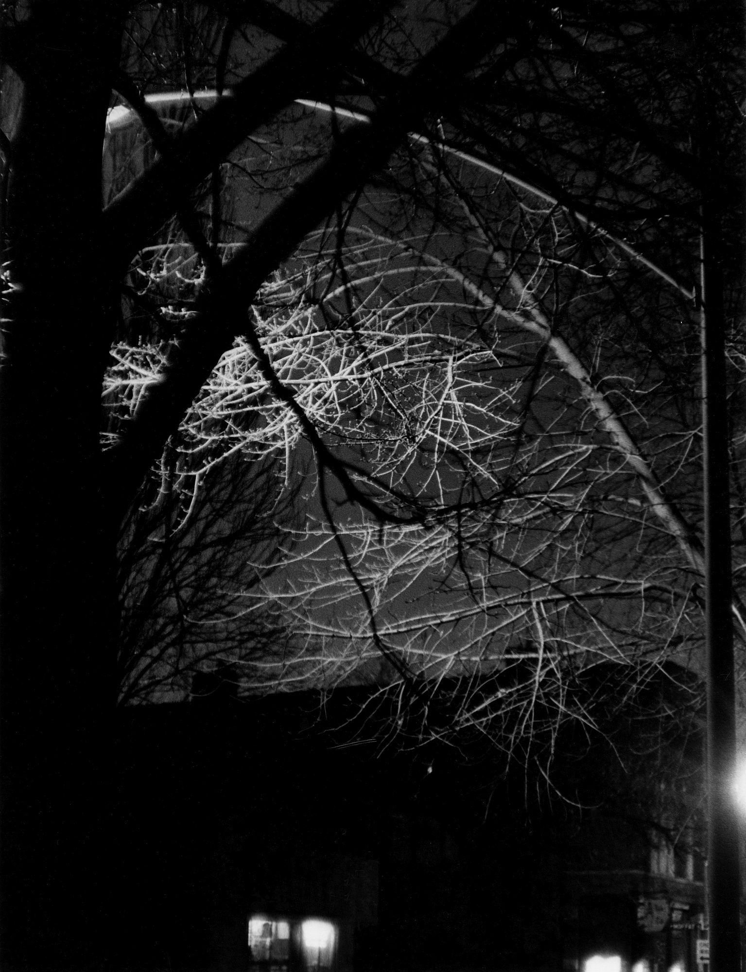 Night on Hoyne Ave.