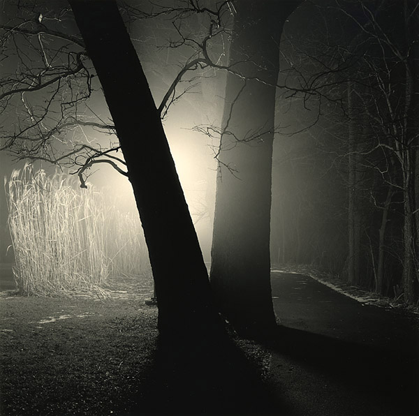 Night Walk Along Eagle Creek