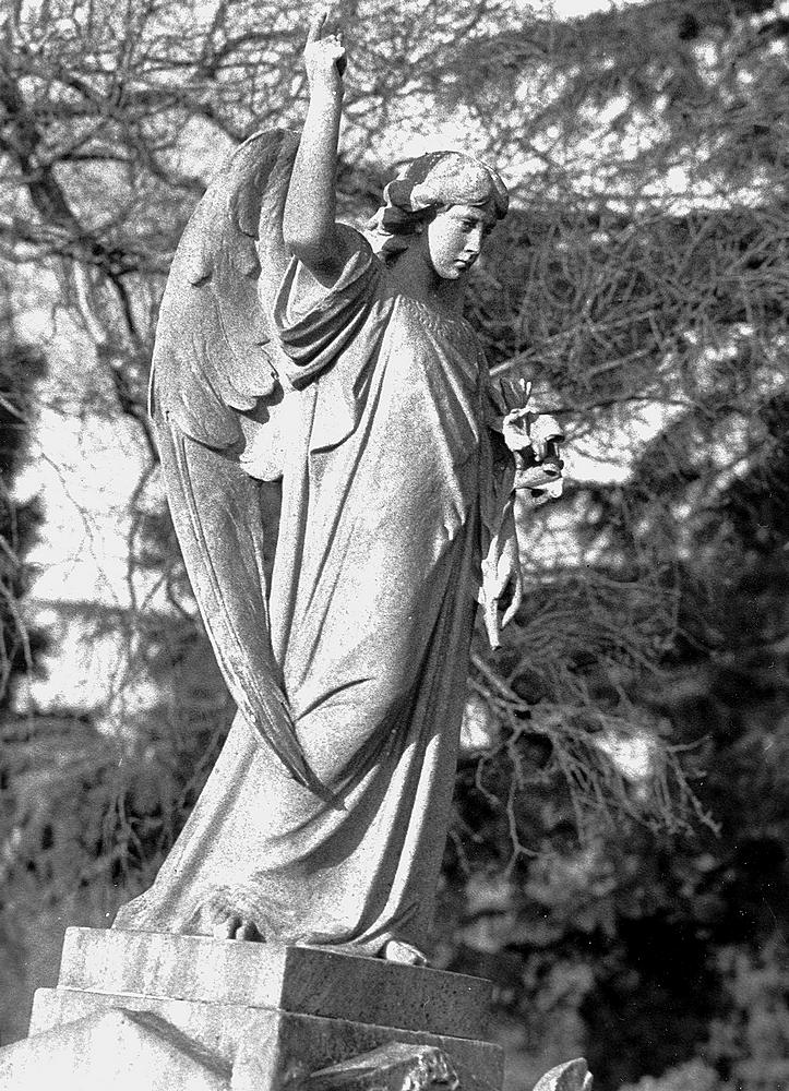 Nikon Cemetery 02