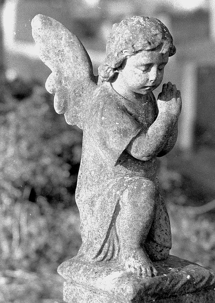 Nikon Cemetery 03