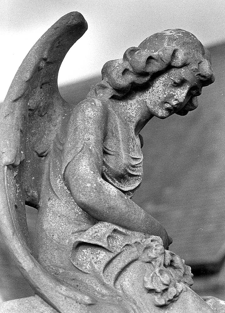 Nikon Cemetery 04