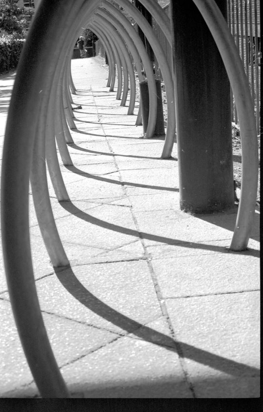 NIKON FE2 Tests 05